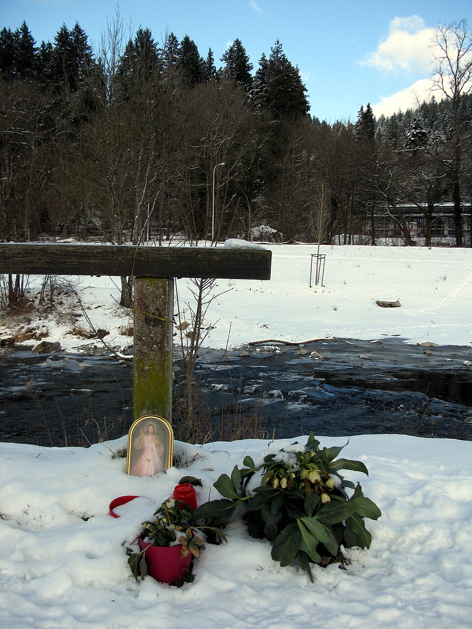 ZDF True Crime: The Suspect Who Allegedly Forced Sons to Kill